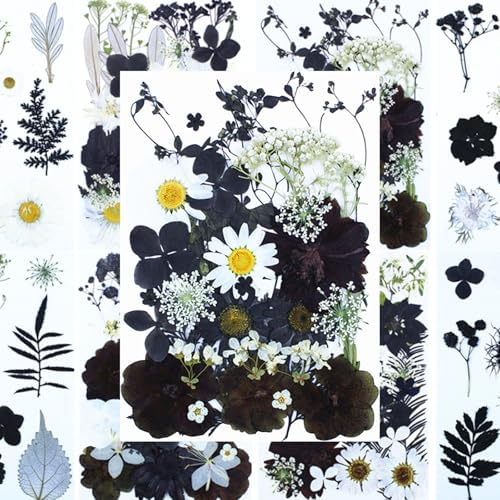 30Pcs Dried Pressed Flowers for Resin Art Crafts Decor