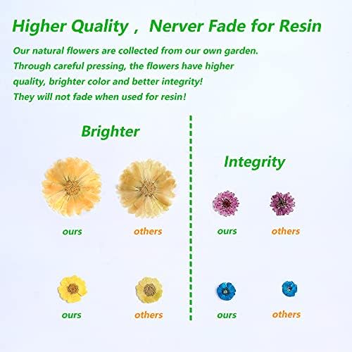100 PCS Real Dried Greenery Leaves for DIY Resin Jewelry Craft
