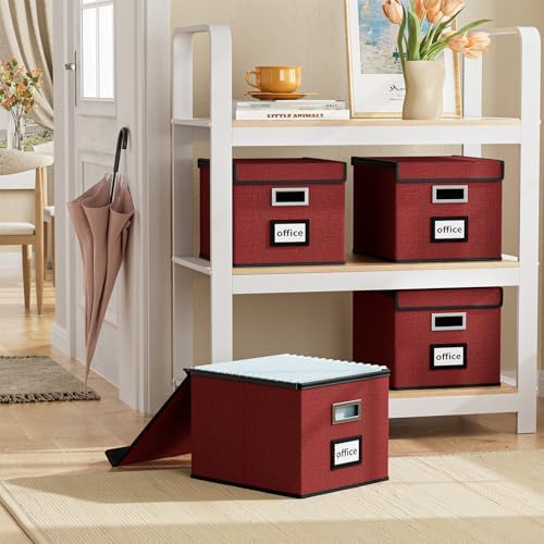 Huolewa Upgraded File Storage Organizer Box with Lid