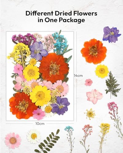 174 Pcs Dried Flowers Pressed for Craft Projects