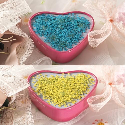 60 Pcs Dried Pressed Flowers for Resin DIY Art Crafts