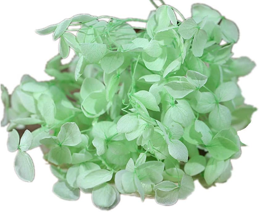 Natural Dried Hydrangea Flower Pressed for Scrapbooking Crafts
