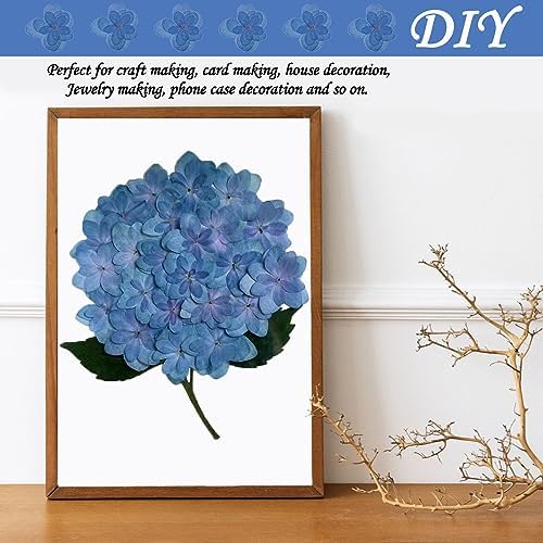 Blue Dried Flowers Double Hydrangea Resin Crafts Embellishments 60PCS