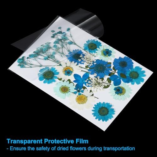 PATIKIL Dried Pressed Flowers Blue Series Art Craft Set