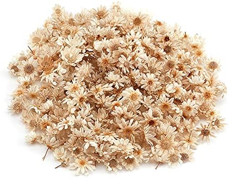 Queenbox 200pcs Mini Star Daisy Dried Flowers for DIY Wedding Confetti