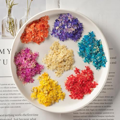84 Pcs Dried Pressed Flowers for Resin Art DIY Crafts