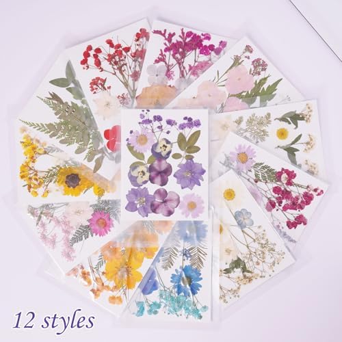 12 Packs Real Dried Flowers for Crafts and Decor