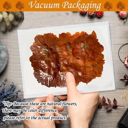 60PCS Dried Orange Cosmos Flowers for Resin Crafts