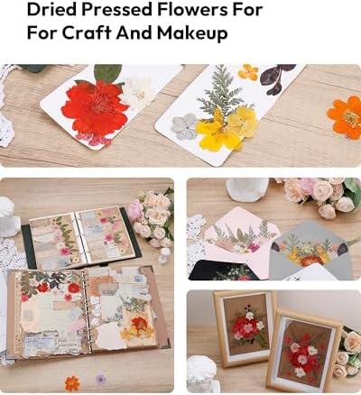 100 Pcs Dried Flowers for Resin Crafts and DIY Projects