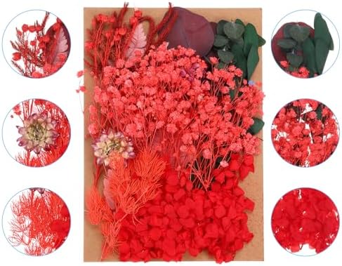 PATIKIL Red Dried Flowers for Resin Soap Candle Craft