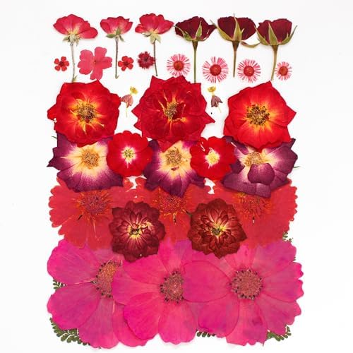OECCO Large Red Dried Pressed Flowers for Resin Crafting