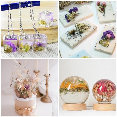PATIKIL Dried Flowers for Crafting and DIY Projects