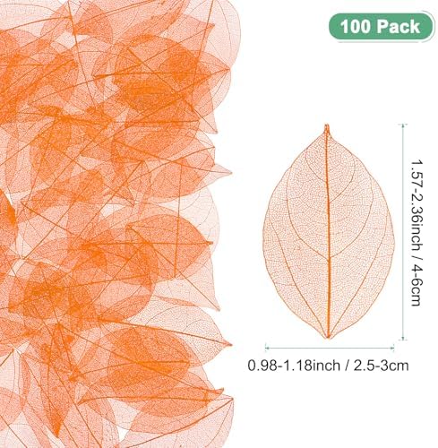 M Meterxity 100-Pack Skeleton Leaves Orange