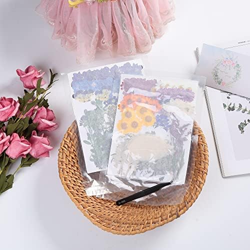 100 PCS Real Dried Pressed Flowers Leaves for Resin Jewelry Crafting - Purple
