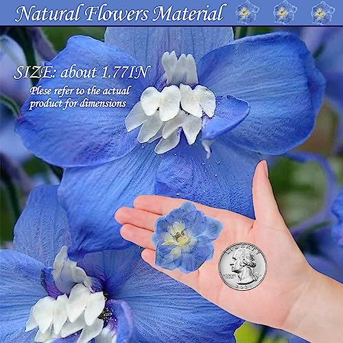 Blue Dried Larkspur Flowers 60PCS for Resin Craft Decor