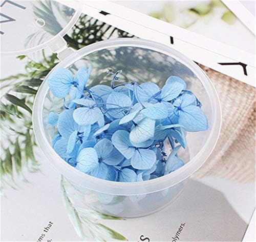 Ximkee Natural Dried Flowers Hydrangea Pressed Scrapbooking Embellishments Sky Blue