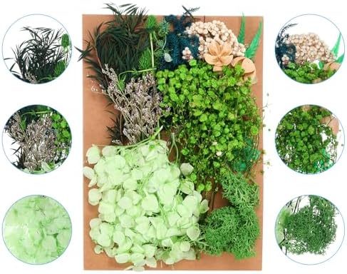 PATIKIL Dried Flowers for Crafting and DIY Projects