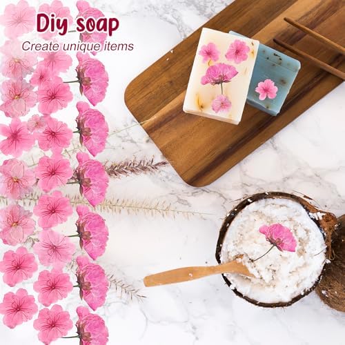 48 Pcs Pink Cherry Blossom Dried Pressed Flowers for Crafts