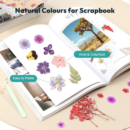 Pink Dried Flowers 58pc Craft Kit for Scrapbook Jewelry