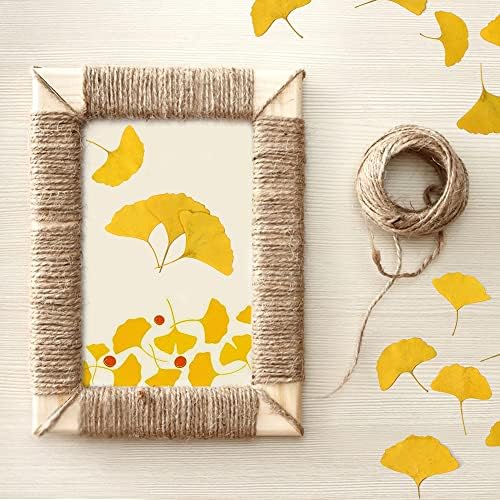 Yellow Dried Ginkgo Leaves for Resin Jewelry and Decor