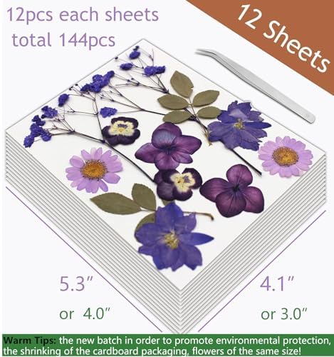 12 Packs Real Dried Flowers for Crafts and Decor
