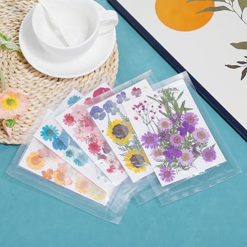 PATIKIL Dried Pressed Flowers Blue Series Art Craft Set