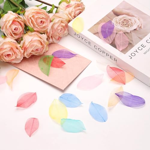 Uxcell 100 Pcs Grey Skeleton Leaves for Scrapbooking and Crafts