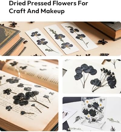 Dried Flowers Pressed Flowers Craft Kit for Scrapbooking DIY