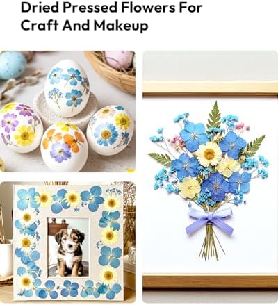 174 Pcs Dried Flowers Pressed for Crafts