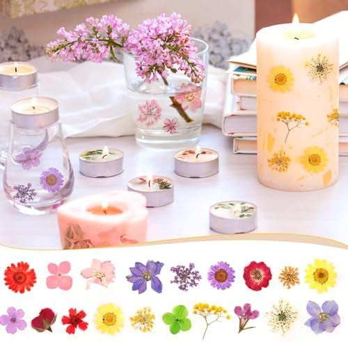 160 Pcs Dried Flowers Pressed Real Flowers for Resin Crafts