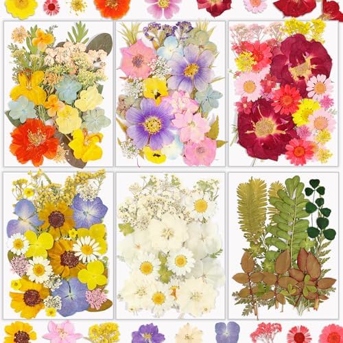 Resiners 174Pcs Dried Flowers Pressed for Crafts