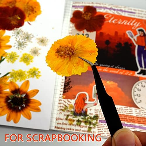 Yellow Sunflowers Big Dried Flowers for Resin Mold Craft