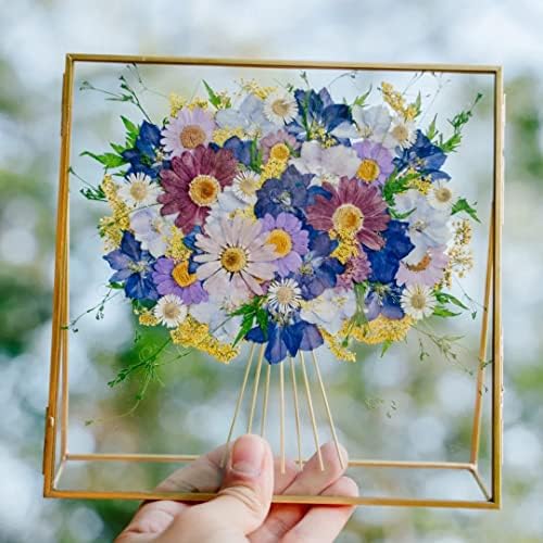 Big Dried Flowers for Resin Crafting and Scrapbooking Supplies Purple Galsang