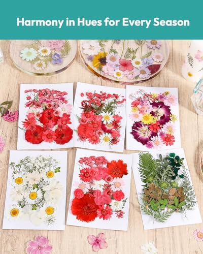 Resiners Cherry Dried Flowers 174pcs Craft Kit