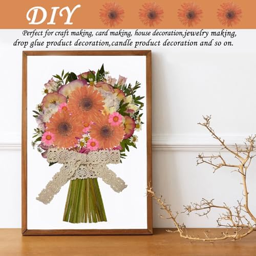 ALJ Large Dried Sunflowers for Resin Crafts Embellishment
