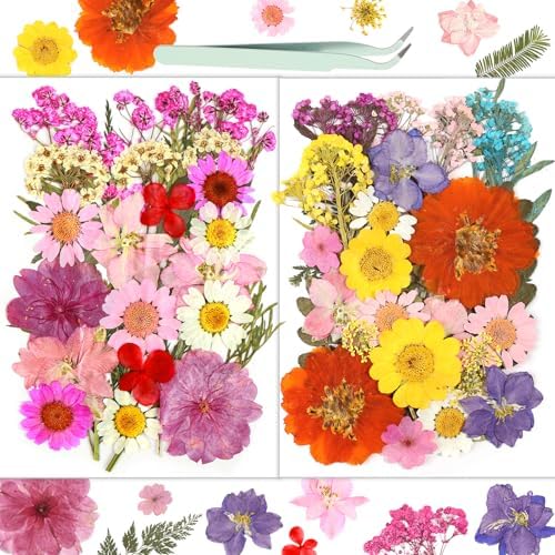 Pink Dried Flowers 58pc Craft Kit for Scrapbook Jewelry