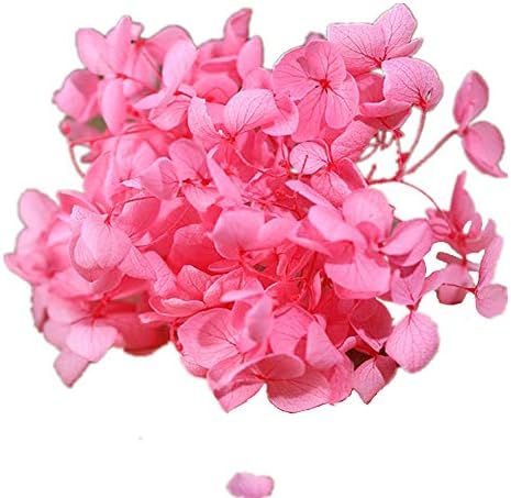 Natural Dried Flowers Hydrangea Pressed Scrapbooking Embellishments Dark Pink