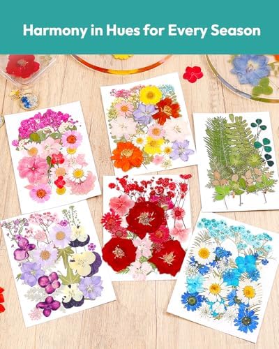 174 Pcs Dried Flowers Pressed for Craft Projects