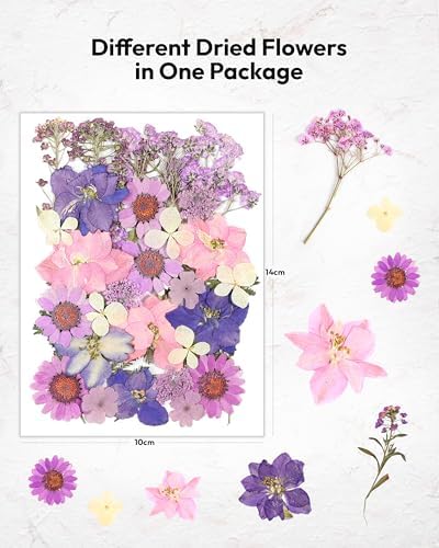 58 Pcs Dried Flowers Pressed Flowers Craft Kit