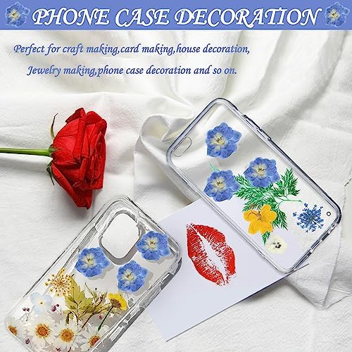 Blue Dried Larkspur Flowers 60PCS for Resin Craft Decor
