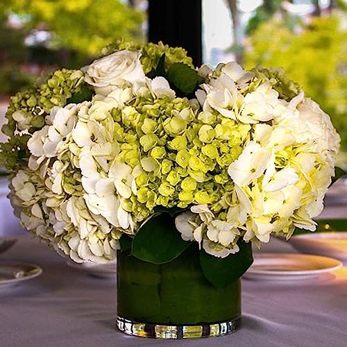 4Pcs Half Ball Floral Dry Foam for Arrangements