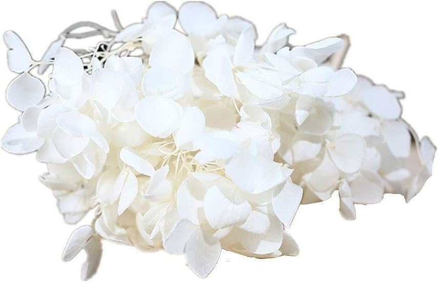 Natural Dried Hydrangea Flower Pressed for Scrapbooking and Crafts