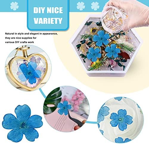 Blue Dried Cherry Blossom Flowers for Resin Decor 60PCS