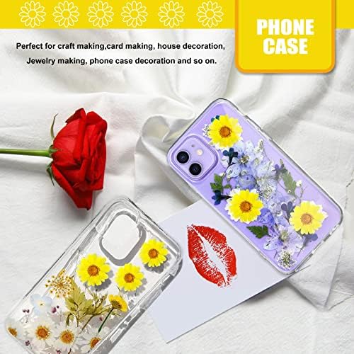60PCS Yellow Dried Sunflowers for DIY Crafts