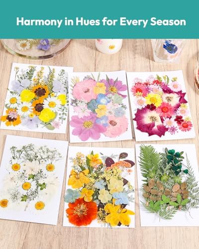 Resiners 174Pcs Dried Flowers Pressed for Crafts