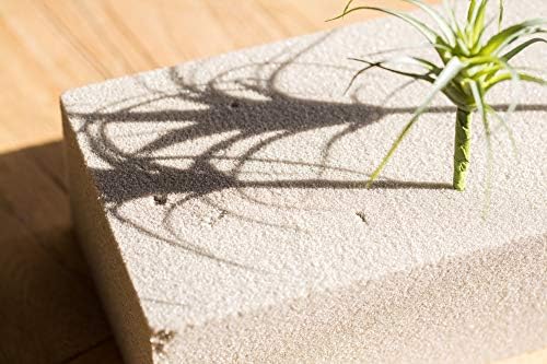 Gentille Rustic Reach Flower Mud Dry Foam Brick Set of 3