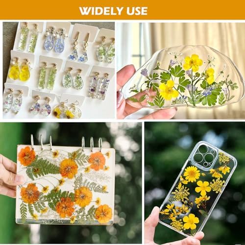 Dried Pressed Flowers for Resin and Crafts Orange