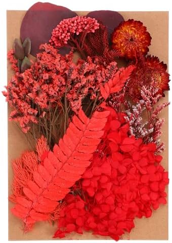 PATIKIL Pressed Flowers for Paper Crafts and DIY Projects