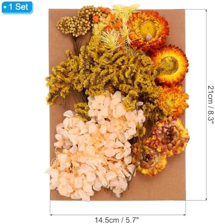 PATIKIL Orange Pressed Flowers for Resin Crafts and DIY Projects