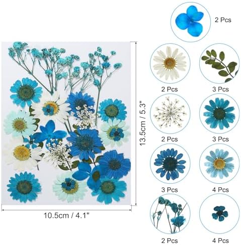 PATIKIL Dried Pressed Flowers Blue Series Art Craft Set